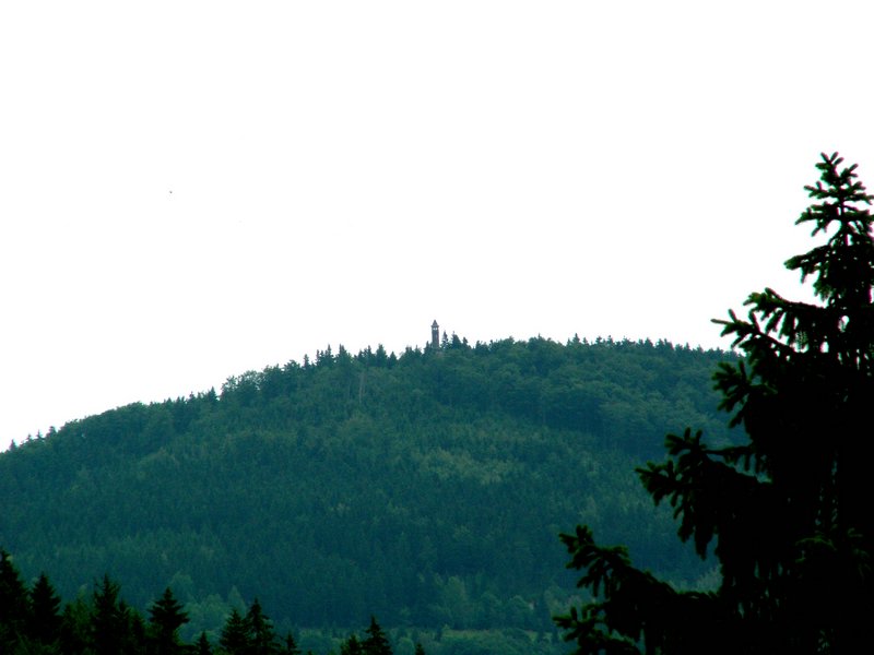 100612_PICT0031.JPG