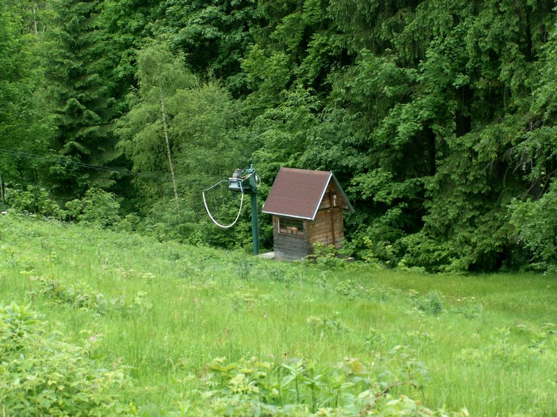 100612_PICT0033.JPG