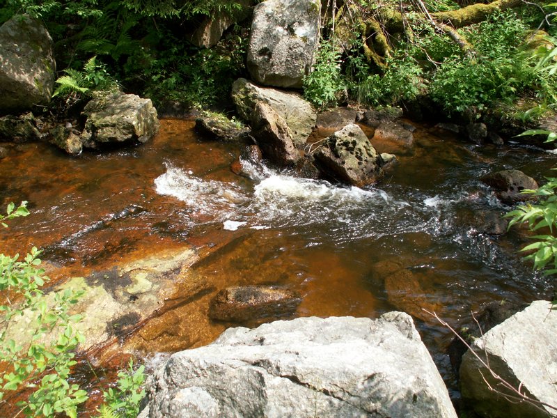 100612_PICT0040.JPG