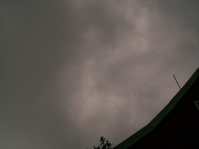 100612_PICT0049.JPG