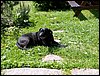 100612_PICT0003.JPG