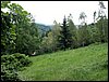100612_PICT0011.JPG