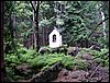100612_PICT0013.JPG