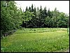 100612_PICT0017.JPG