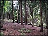 100612_PICT0019.JPG