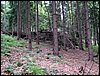 100612_PICT0024.JPG