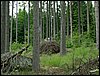 100612_PICT0025.JPG