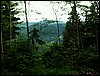 100612_PICT0026.JPG