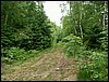 100612_PICT0027.JPG