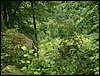 100612_PICT0028.JPG