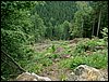 100612_PICT0029.JPG