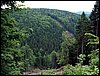 100612_PICT0032.JPG