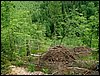 100612_PICT0036.JPG
