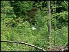 100612_PICT0037.JPG
