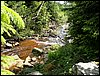 100612_PICT0038.JPG
