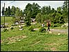 100613_PICT0012.JPG