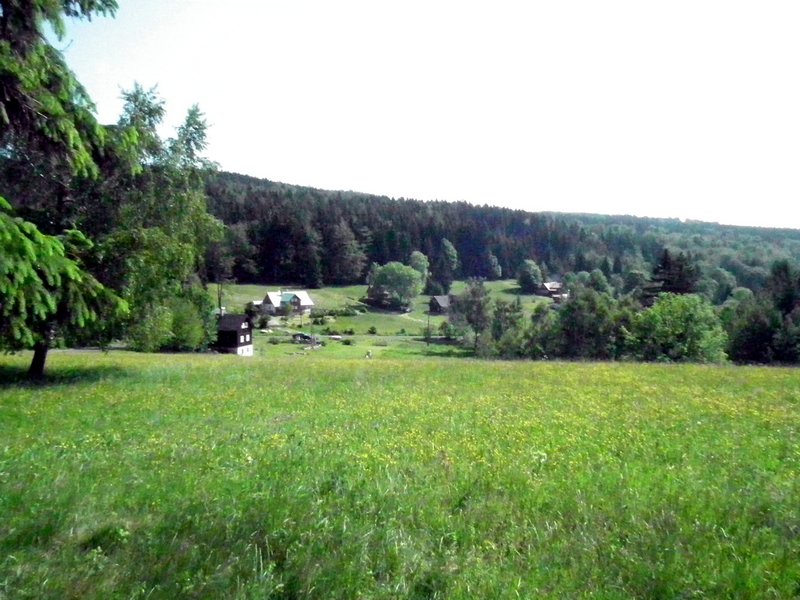 110604_HDO2011a_021.jpg