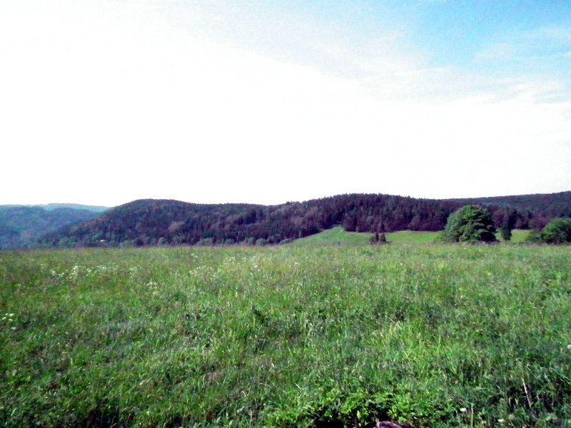 110604_HDO2011a_024.jpg