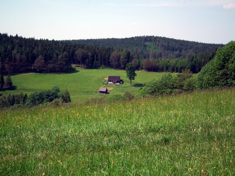 110604_HDO2011a_041.jpg
