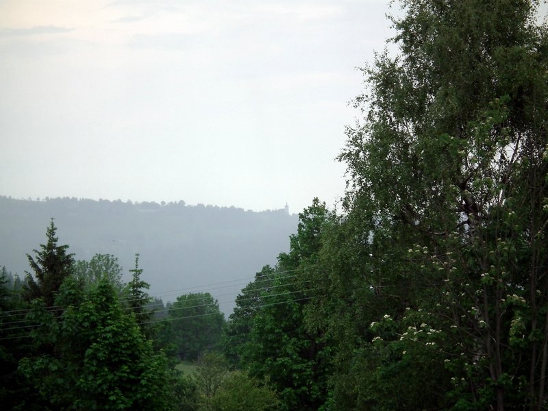110604_HDO2011a_064.jpg