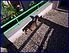 110604_HDO2011a_007.jpg