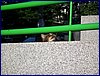 110604_HDO2011a_008.jpg