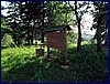110604_HDO2011a_017.jpg