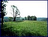 110604_HDO2011a_023.jpg