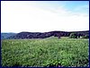 110604_HDO2011a_024.jpg