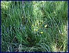 110604_HDO2011a_035.jpg