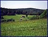 110604_HDO2011a_041.jpg