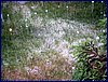 110604_HDO2011a_078.jpg