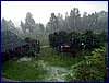 110604_HDO2011a_079.jpg