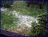 110604_HDO2011a_080.jpg