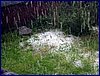 110604_HDO2011a_081.jpg