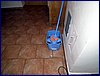 110604_HDO2011a_096.jpg