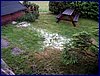 110604_HDO2011a_111.jpg