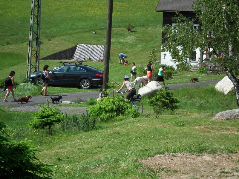 110605_HDO2011b_015.jpg