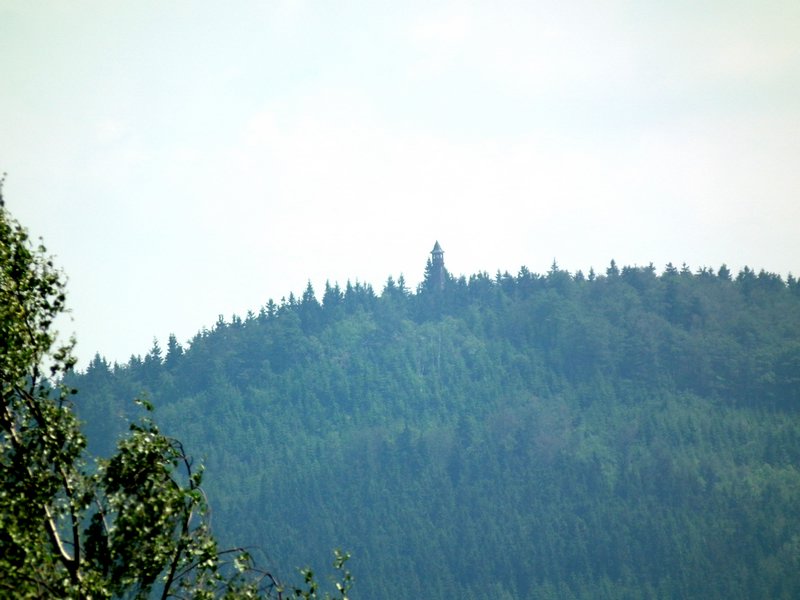 110605_HDO2011b_020.jpg