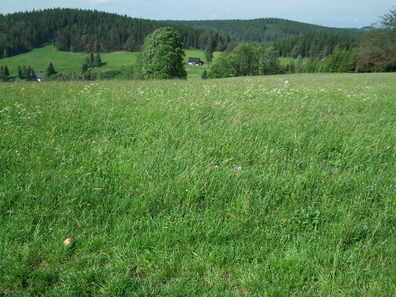 110606_HDO2011c_019.jpg