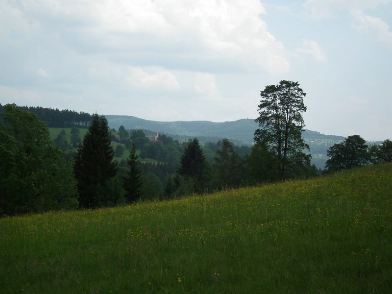 110606_HDO2011c_037.jpg