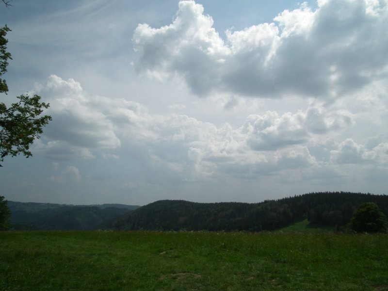 110606_HDO2011c_040.jpg