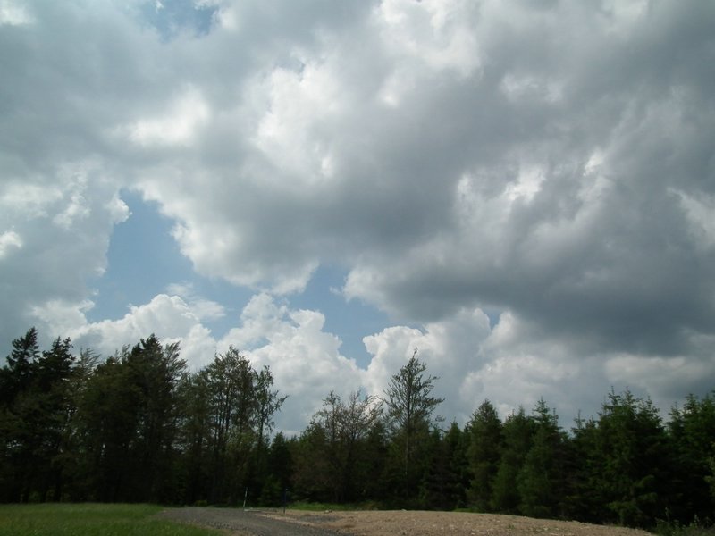 110606_HDO2011c_041.jpg