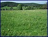 110606_HDO2011c_019.jpg