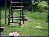 110606_HDO2011c_024.jpg