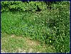110606_HDO2011c_046.jpg