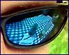 110606_HDO2011c_050b.jpg