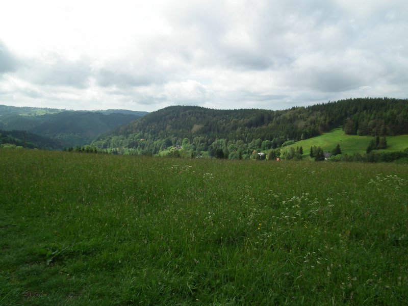 110607_HDO2011d_017.jpg