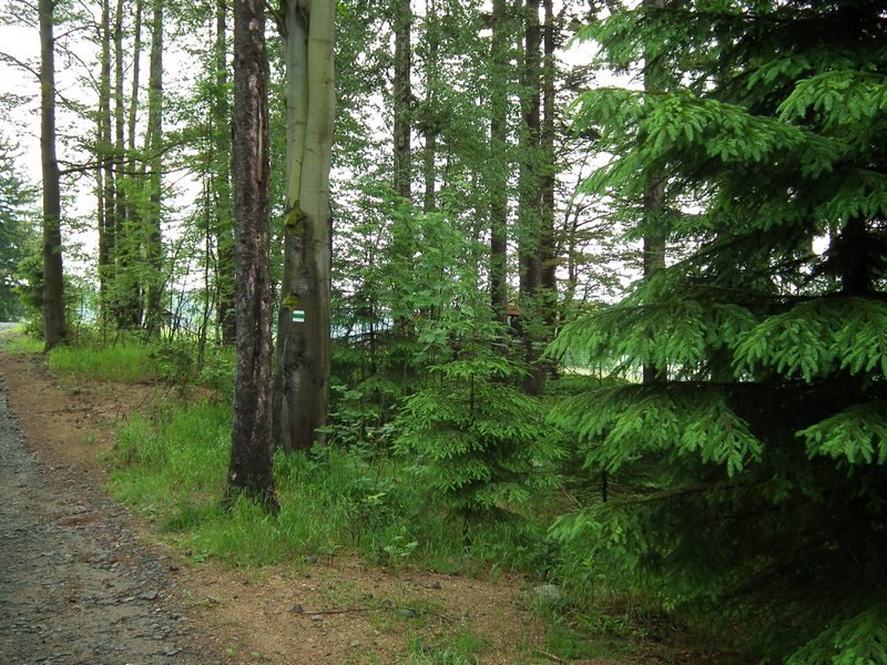 110607_HDO2011d_021.jpg