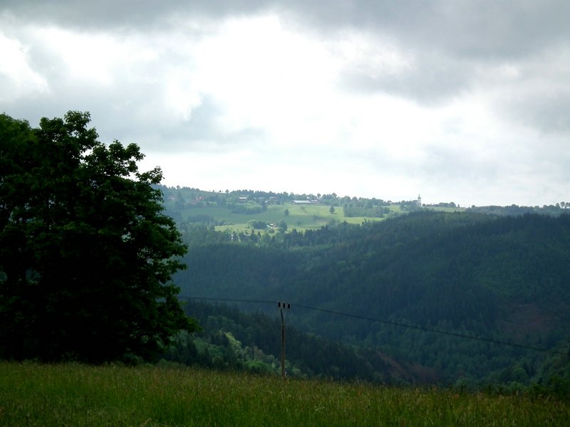 110607_HDO2011d_025.jpg